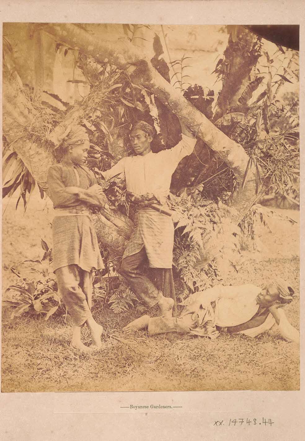 Baweanese gardeners, mid-19th century, NMS XXXX-14748-044. Courtesy of National Museum of Singapore.